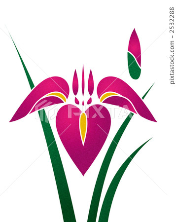 Iris 2532288