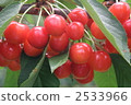 Well cherries 2533966