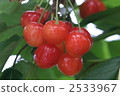 Nishiki Sato 2533967