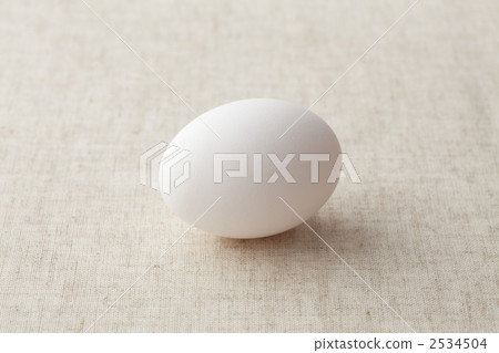 雞蛋 雞蛋 2534504