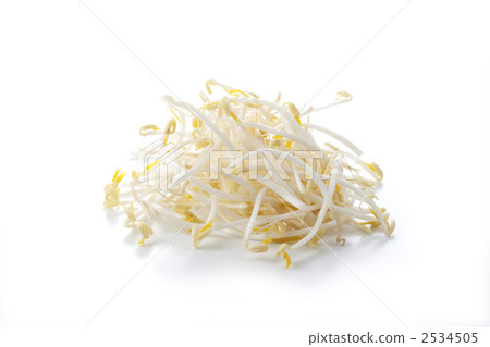 豆芽 2534505