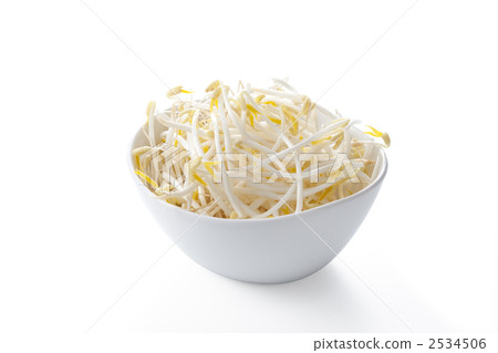 豆芽 2534506