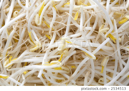 Bean sprouts Bean sprouts 2534513
