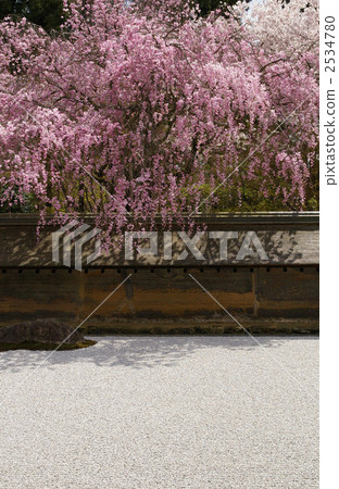 Ryoanji temple cherry blossoms in stone garden 2534780