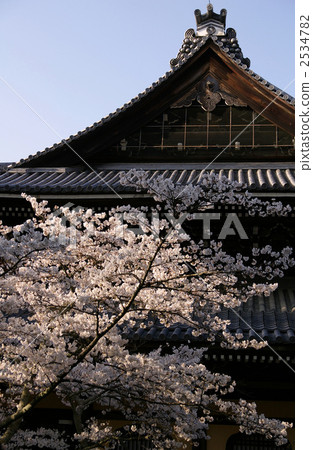 南禪寺講堂與盛開的櫻花(京都市左京區) 南禪寺講堂與盛開的櫻花(京都市左京區) 2534782