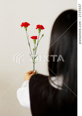 母親節 康乃馨 生活事件 2535687