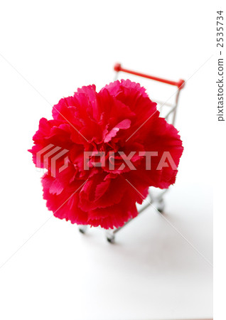 shopping cart, mothers day, mother's day 2535734