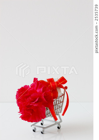 carnation, carnations, mothers day 2535739