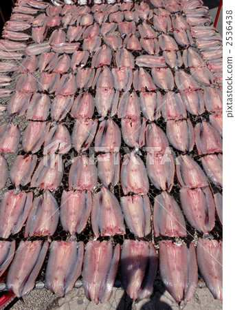 在台灣的魚市① - 打開魚 2536438