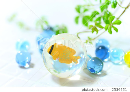 魚 超級碗 耳帶蝴蝶魚 2536551