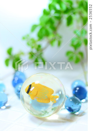 玻璃 白色背景 白底 2536552