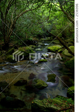 clear stream, Okumagawa, nature 2536996