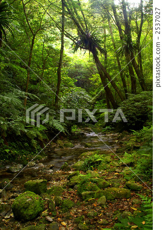 clear stream, Okumagawa, nature 2537027