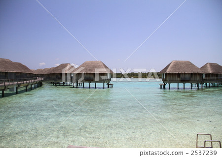 Maldives Maldives 2537239