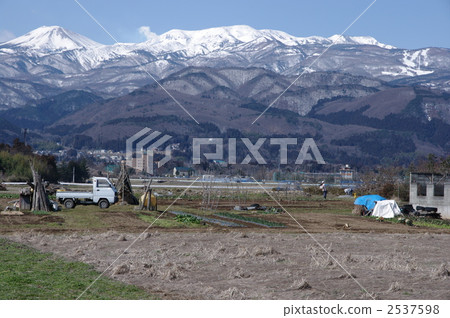 Yamazato的菜地 2537598