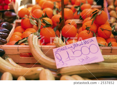 Tomato Tomato 2537852
