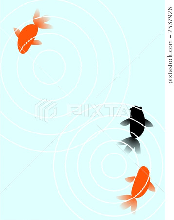 金魚 2537926