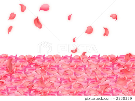 Cherry blossom petals 2538359