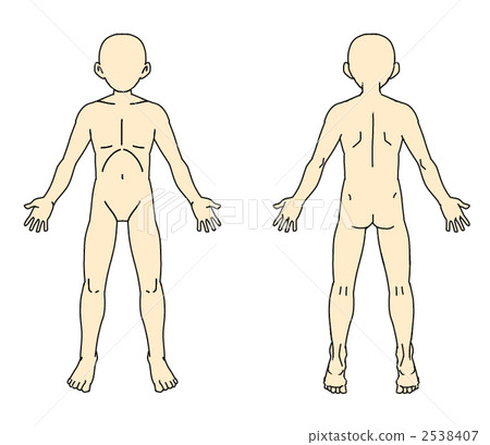 Human figure 2538407