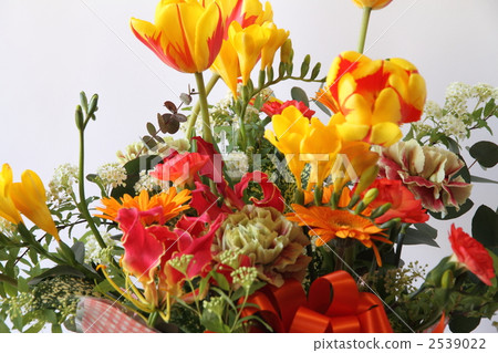 禮物 送禮 展示 2539022