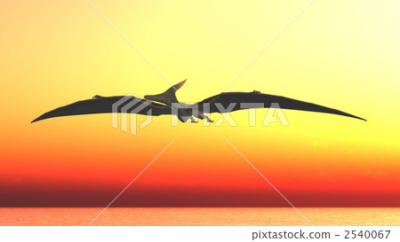 ancient organism, pteranodon, pterosaur 2540067