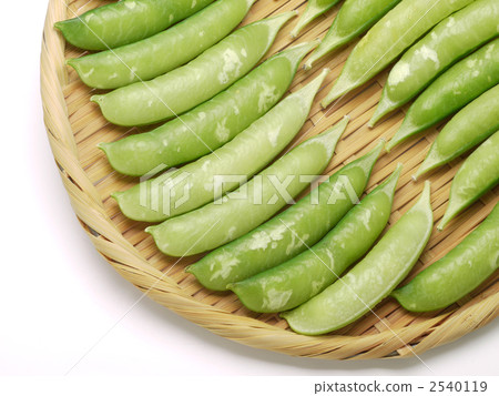 Green peas on mackerel (pea) 2540119