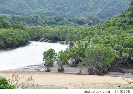 Hirugi社區 2540306