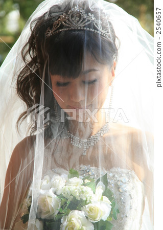 Bride Bride 2540657