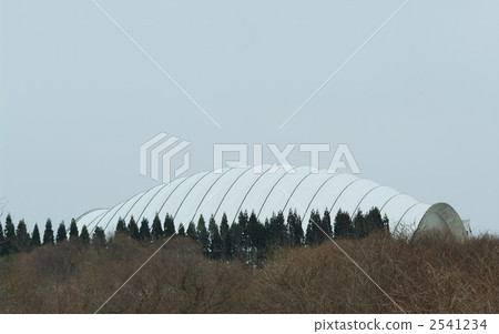 體育設施 灌木叢 草叢 2541234