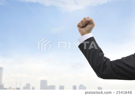 握拳 手 商業理念 2541648