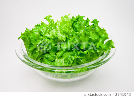 Greenleaf 2541943