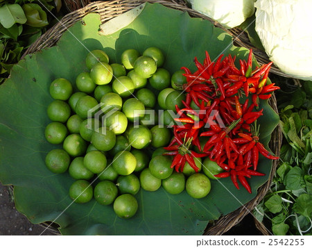 柑橘和紅辣椒(暹粒/柬埔寨) 柑橘和紅辣椒(暹粒/柬埔寨) 2542255