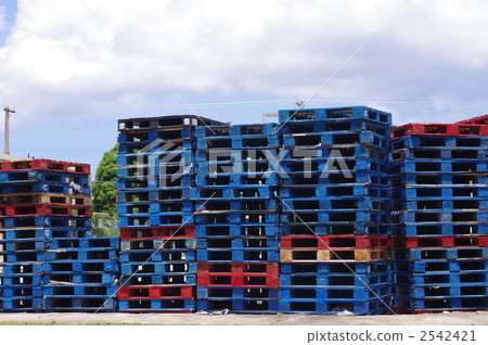 棘爪 棘爪 2542421