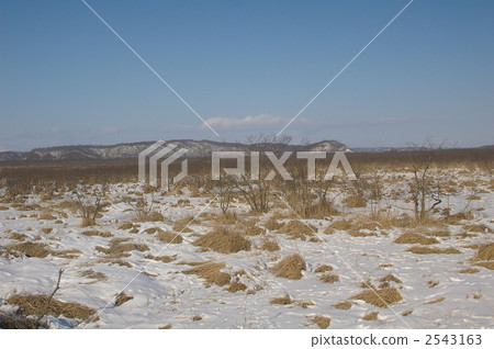 marsh, wetlands, kushiro wetlands 2543163