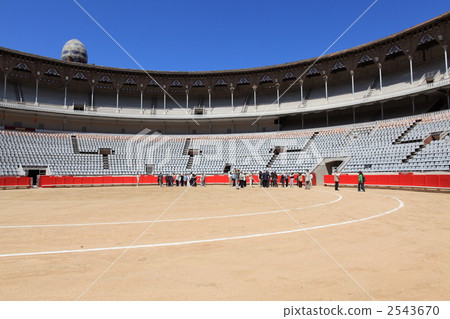 巨大的鬥牛場 2543670