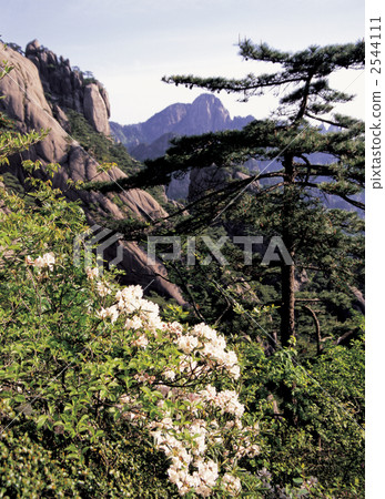 黃山風景區 黃山風景區 2544111