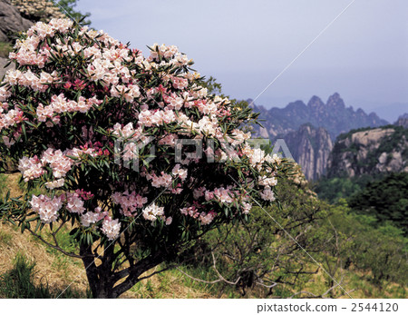 黃山風景區 2544120