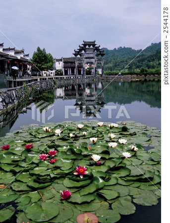 安徽鎮西西區 2544178