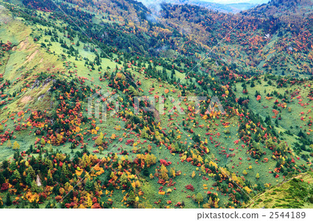 志賀高原秋葉 2544189