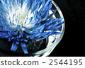 Chic 2544195