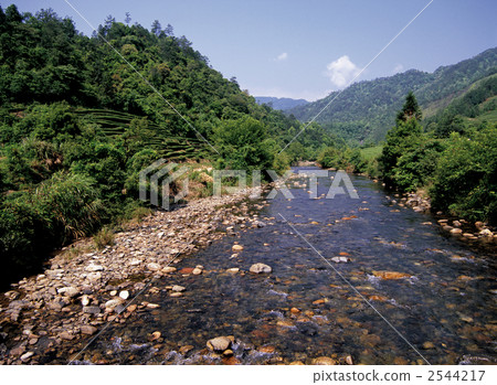 武夷山烏龍茶田 武夷山烏龍茶田 2544217