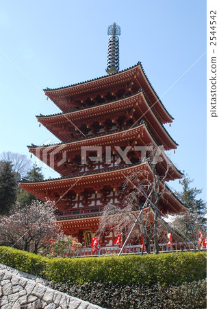 世田谷區羽根木公園 寺 寺院 2544542