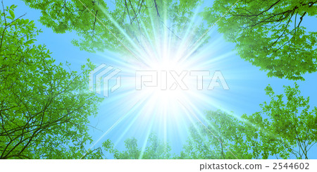 鮮綠色 鮮綠色 2544602