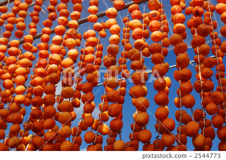 kaki, persimmon, hanging persimmon 2544773