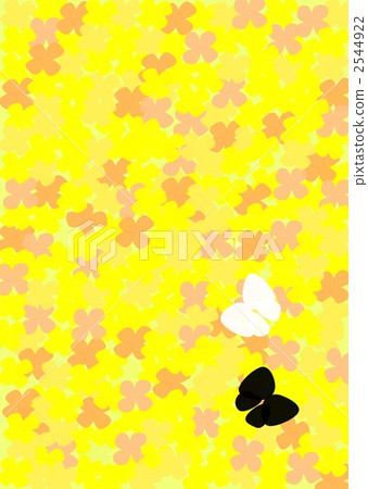 Spring and butterfly Spring and butterfly 2544922