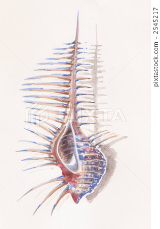 Honekai Honekai 2545217