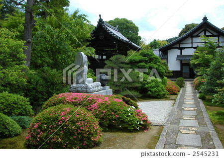 Kyoto Satsuki blooms the Yunoyuin 2545231