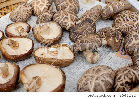 Dried shiitake mushroom 2546182