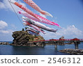 Carp streamer of Benten rock 2546312