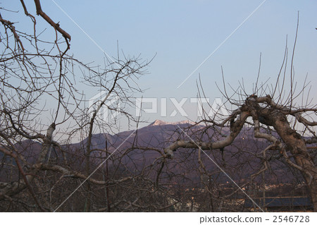 奧羅山(信州上田市) 奧羅山(信州上田市) 2546728